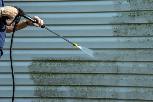 Best Vinyl Siding Pressure Washing in Ashland, KY