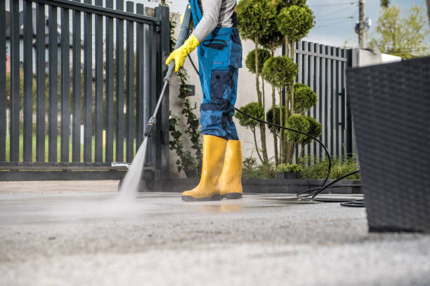 Best Soft Washing for Delicate Surfaces in Ashland, KY